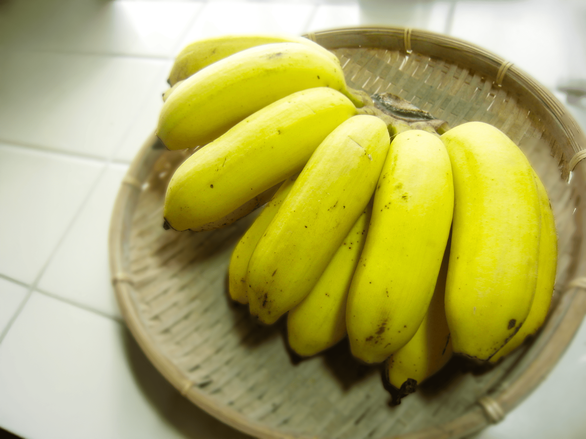 旬の野菜を育てる